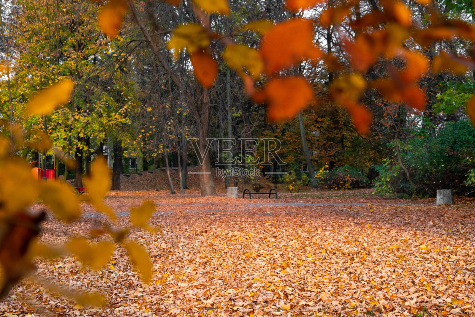 秋天的风景。森林里、公园里的一条小路。黄色、红色、橙色和棕色的叶子。秋天的落叶,温暖的阳光。照片摄影图片