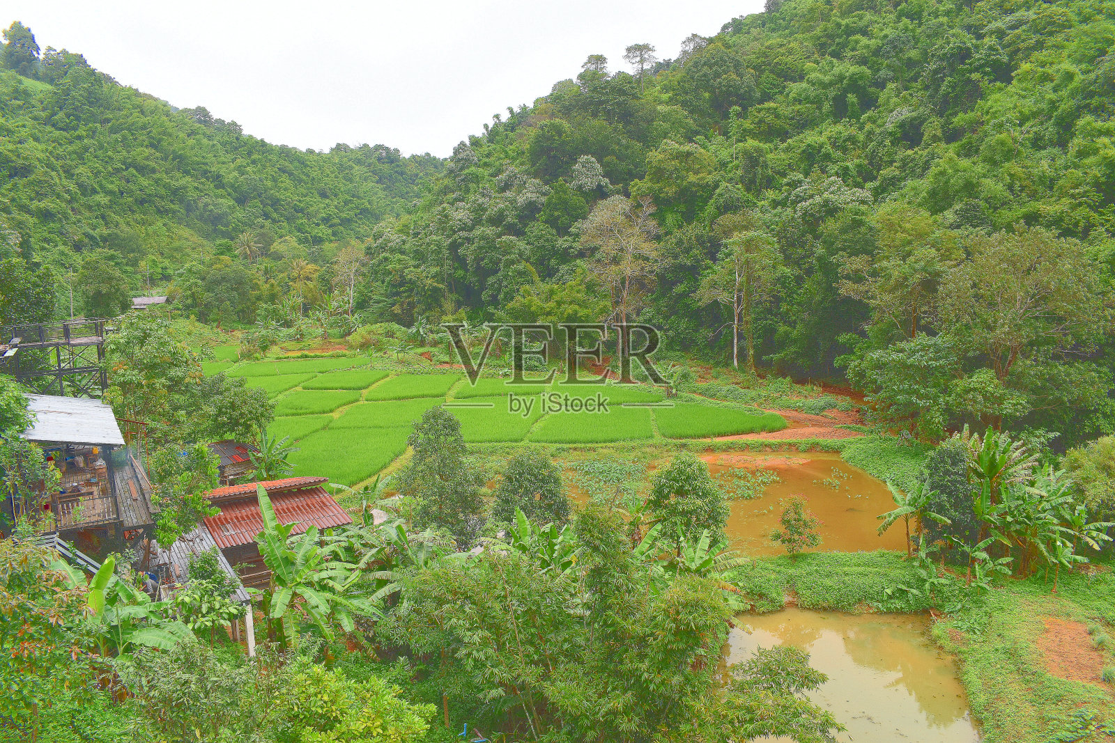 Na Khua,风景,法莱,泰国照片摄影图片