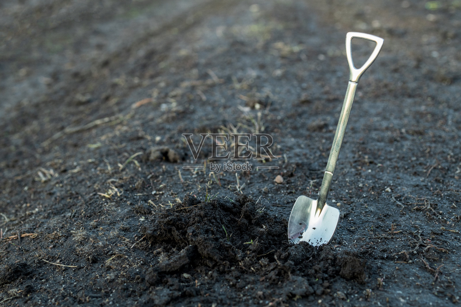 铲子插入土壤照片摄影图片
