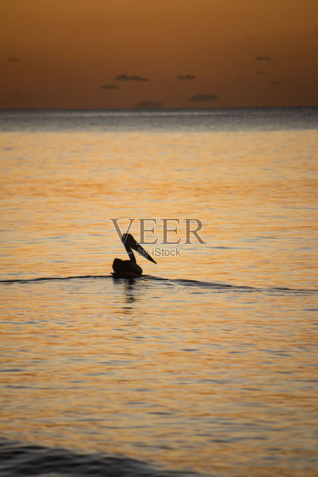 日落时湖面上苍鹭剪影的垂直镜头照片摄影图片