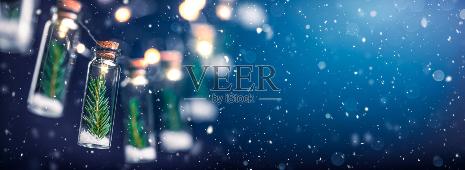 用常青树树枝装饰的罐子照片摄影图片