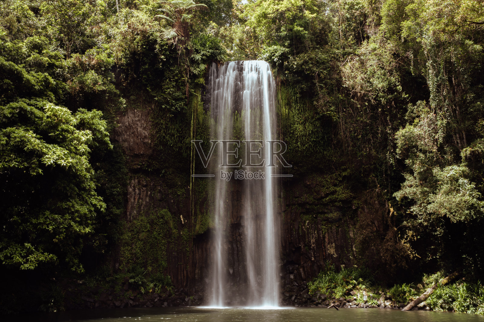 米拉 昆士兰州米拉瀑布照片摄影图片