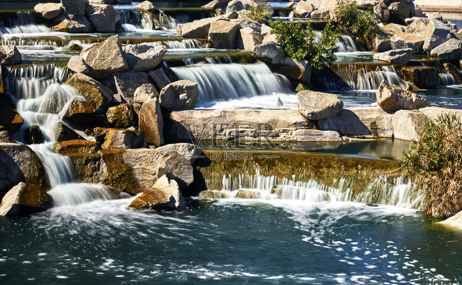 小苍鹭坐在人造瀑布公园的岩石上照片摄影图片