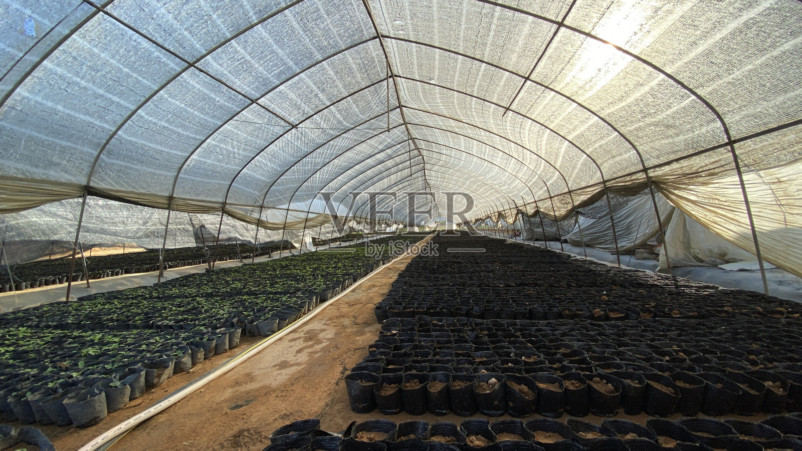 无人种植温室照片摄影图片
