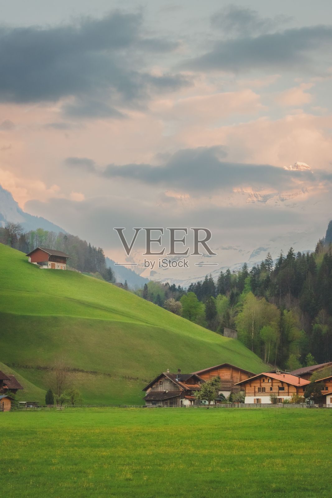 垂直拍摄的一个大气的乡村景观覆盖着草地和一些房子照片摄影图片