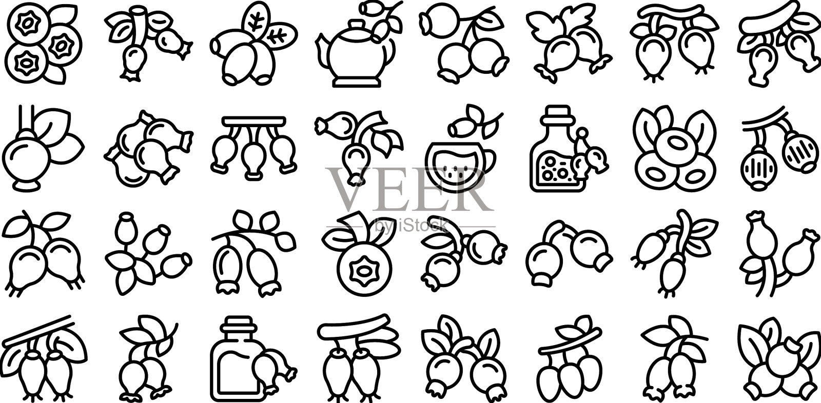 玫瑰果图标设定轮廓果汁图标素材