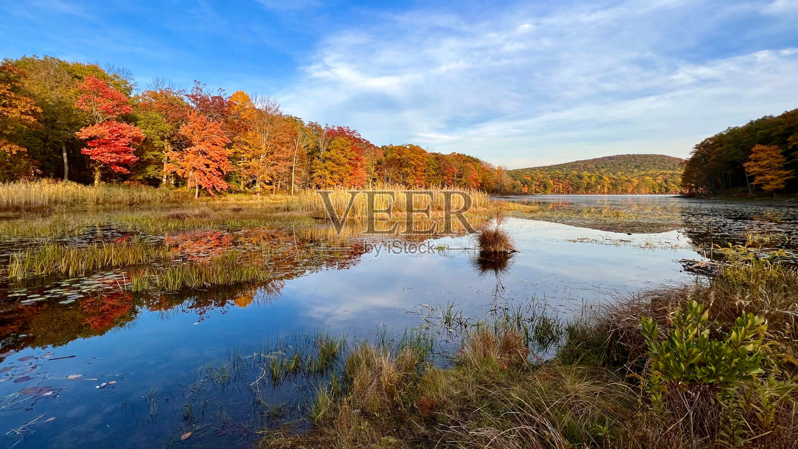 秋天美丽的湖景和树木。照片摄影图片