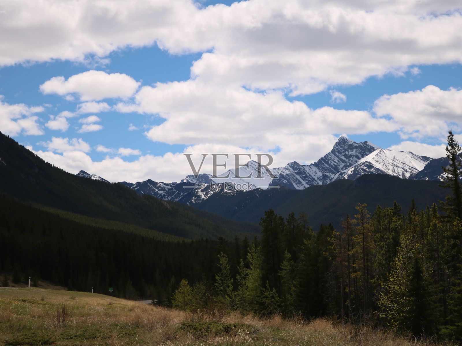 卡那纳斯基斯国家森林覆盖的山脉和雪峰的美丽景色照片摄影图片