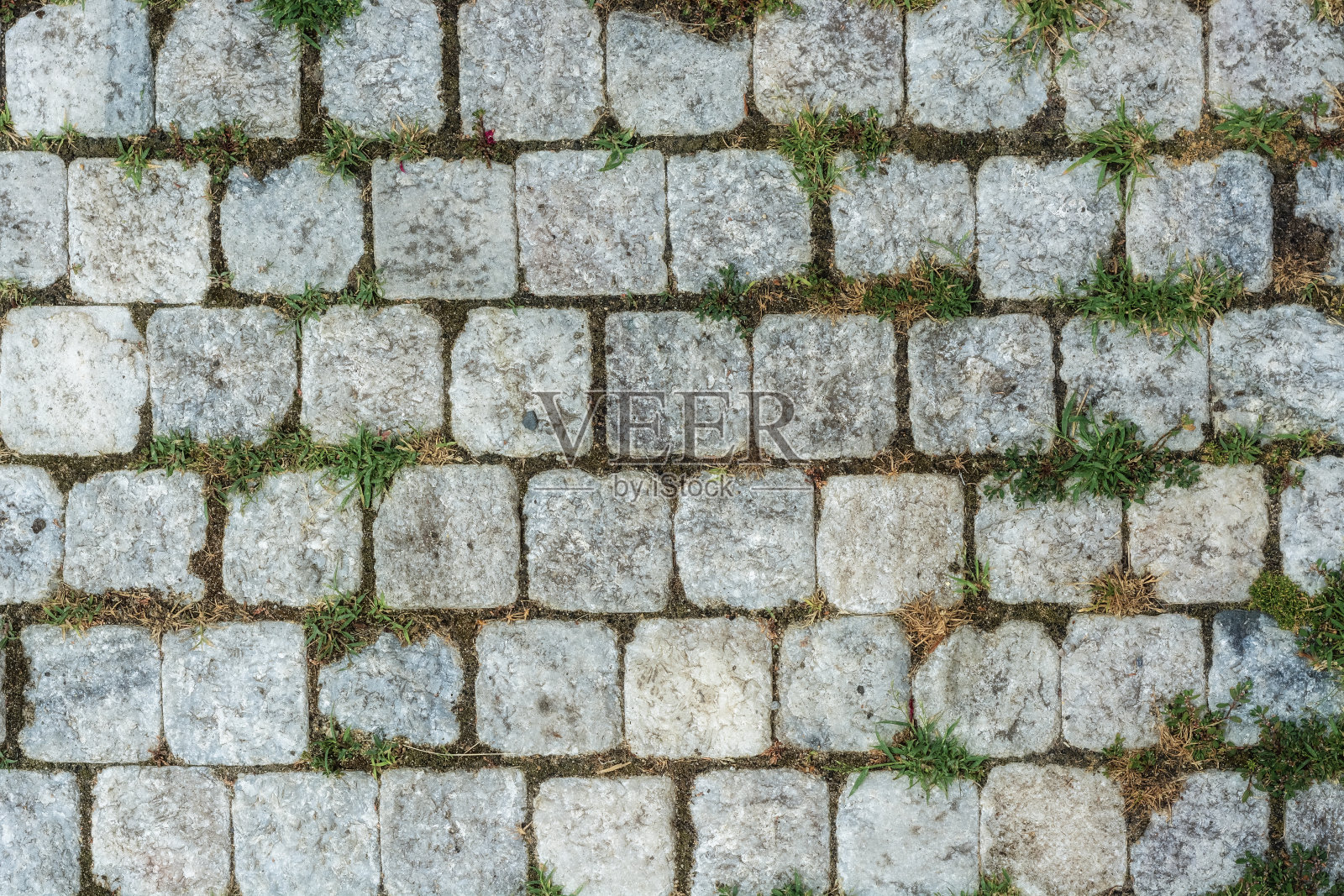 铺路石和草。照片摄影图片