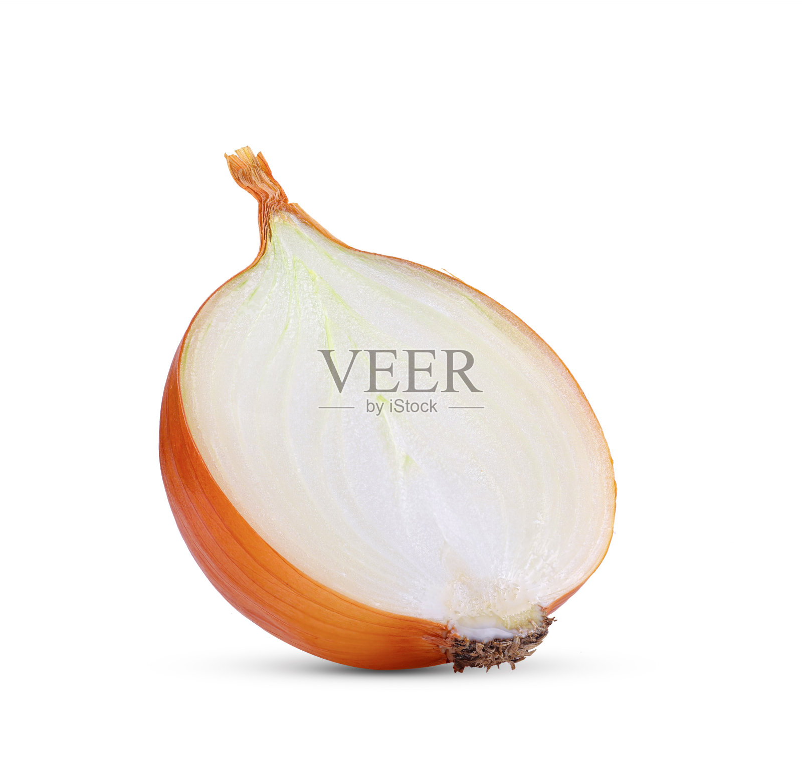 洋葱离体照片摄影图片