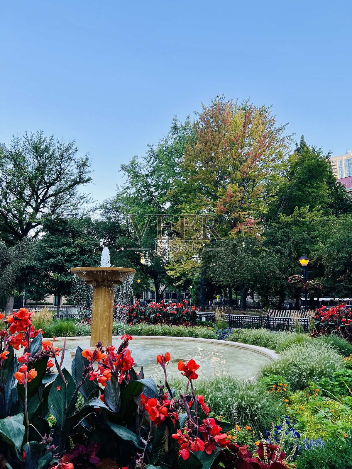 晴朗的一天,芝加哥的城市公园照片摄影图片