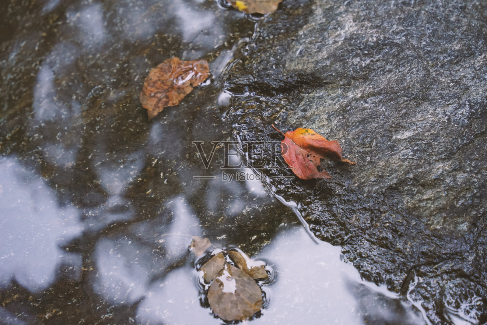 韩国国家休闲森林,山谷景观照片摄影图片