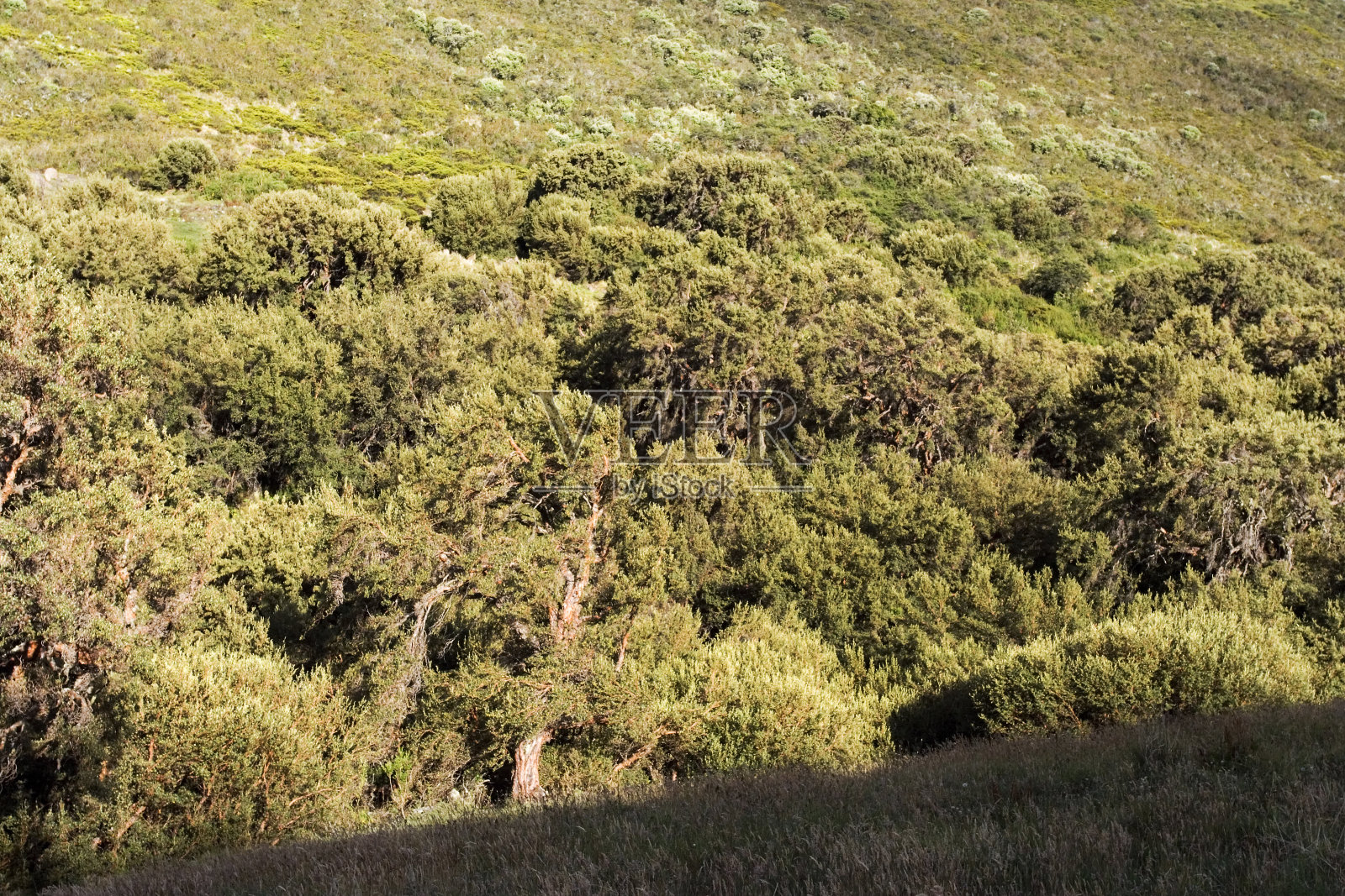 Papallacta通过厄瓜多尔照片摄影图片