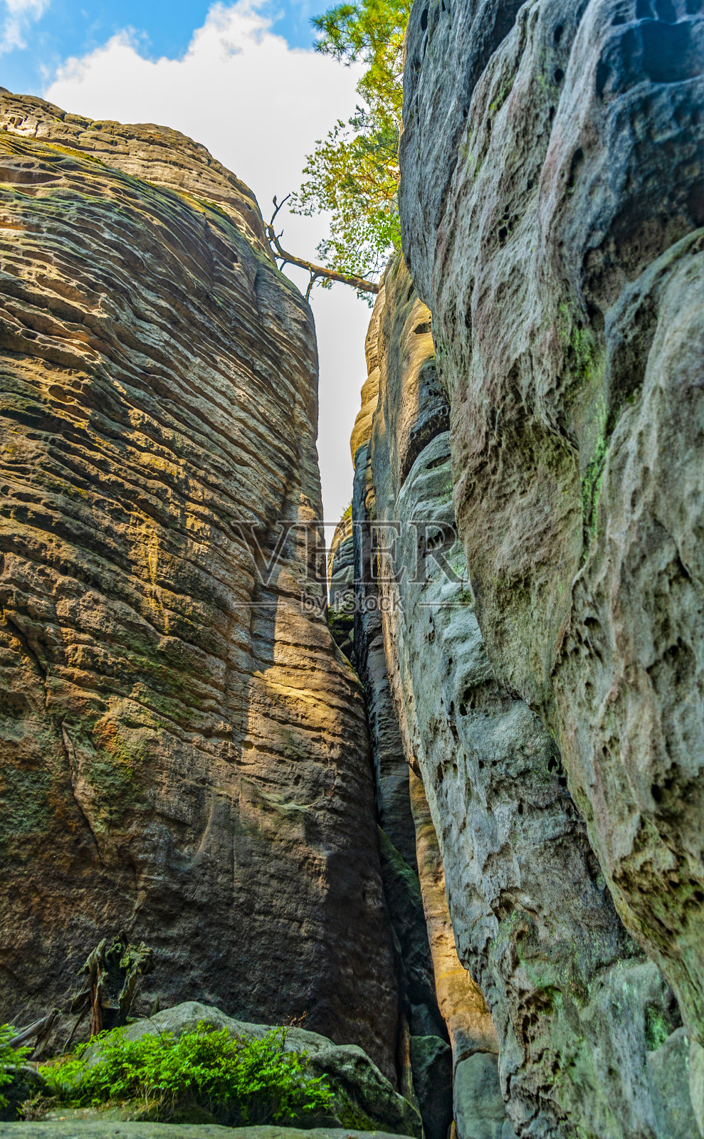 捷克Prachovske Skaly国家公园照片摄影图片