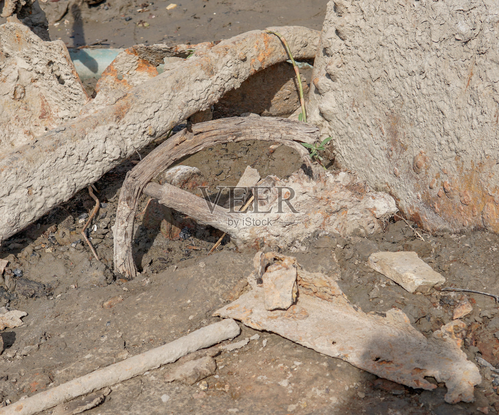 木制车轮照片摄影图片