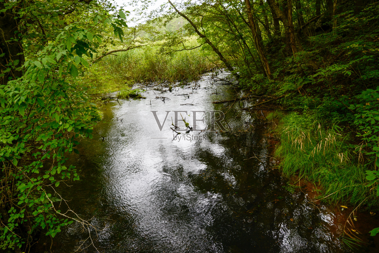 乌拉班台的景色,一条清澈的小溪流入高石沼照片摄影图片