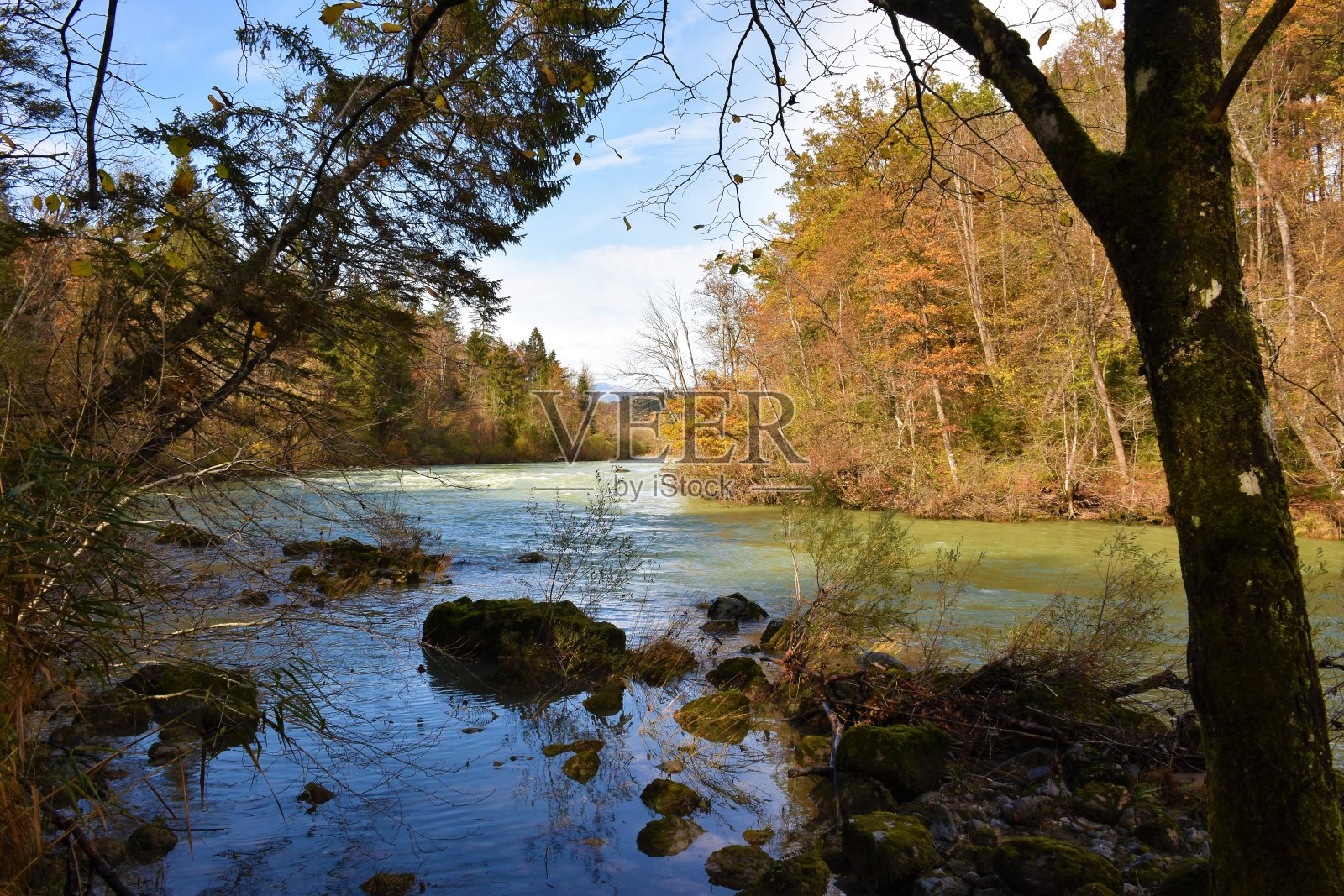 萨瓦河附近的Radovljica和橙色的秋天森林在海岸在戈伦杰斯卡,斯洛文尼亚照片摄影图片