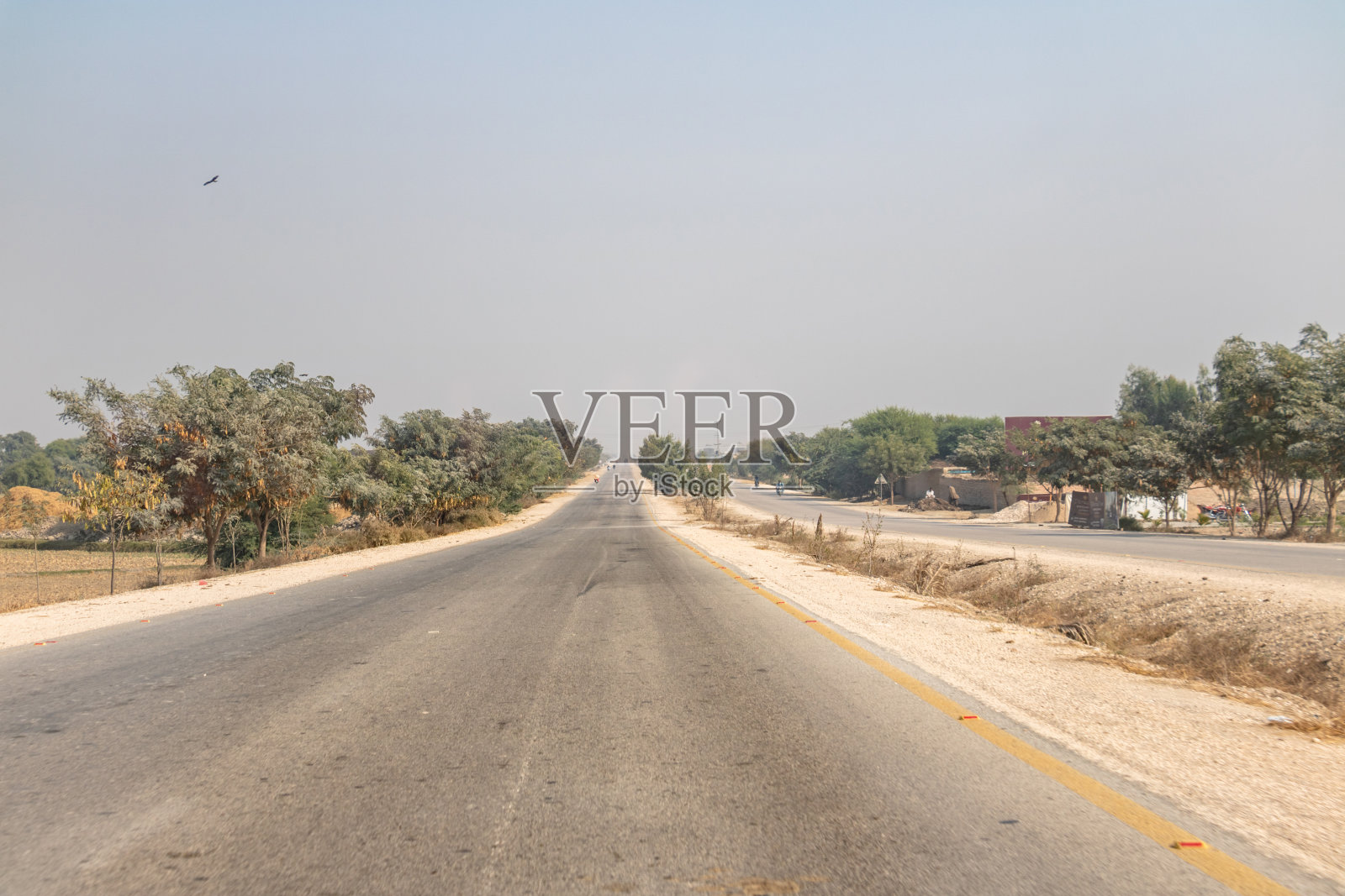 绿意盎然的空旷公路照片摄影图片