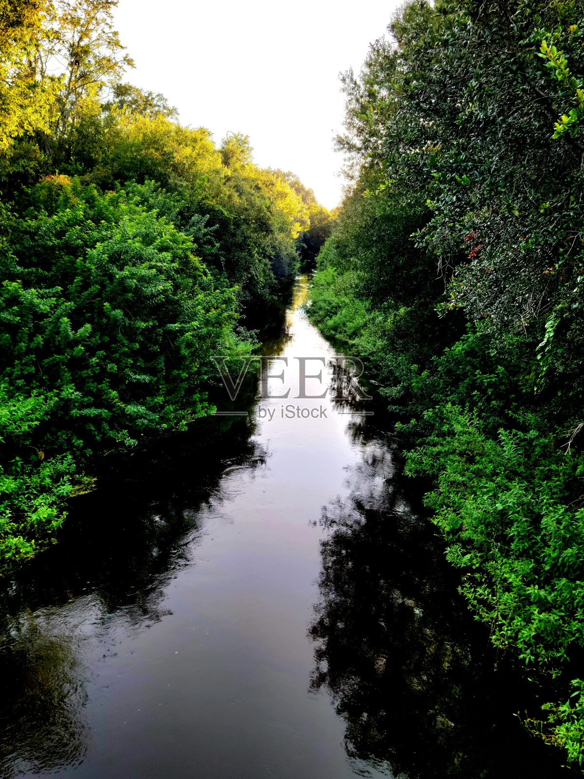 树木之间的运河照片摄影图片