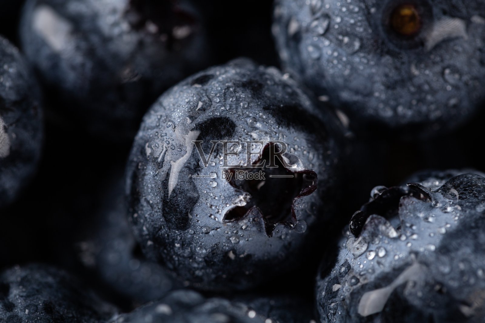 蓝莓的特写镜头与水滴照片摄影图片