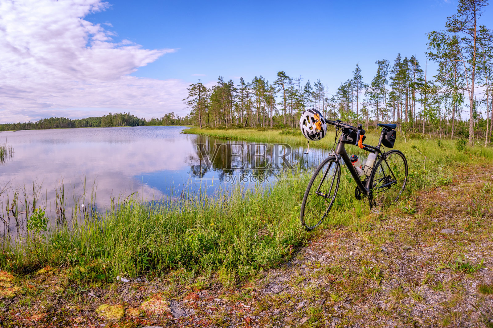 现代碳路赛车站在森林湖边,珍稀松树前。夏天阳光灿烂的日子。独立黑色自行车,白色头盔,两个水上运动瓶安装在框架照片摄影图片