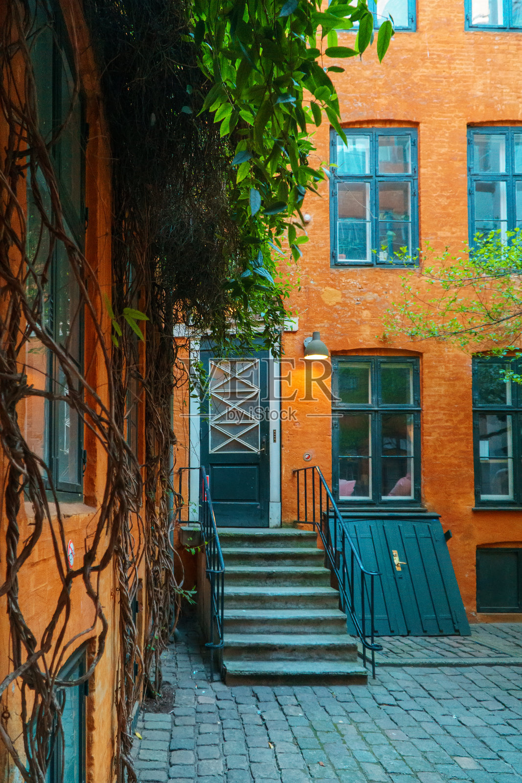 带有绿色植物的房子的橙色庭院。照片摄影图片