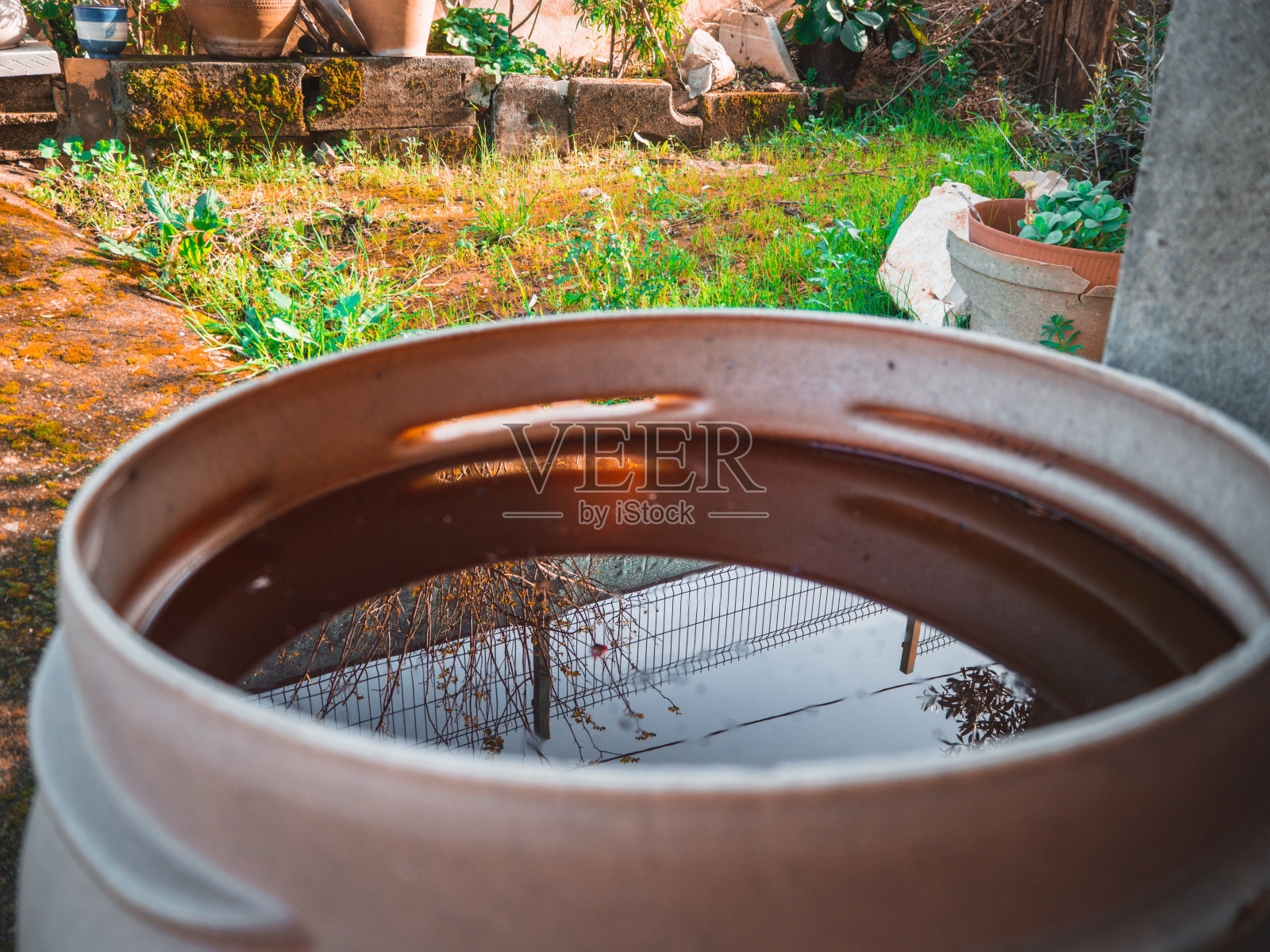 花园里装满水的金属容器的漂亮照片照片摄影图片