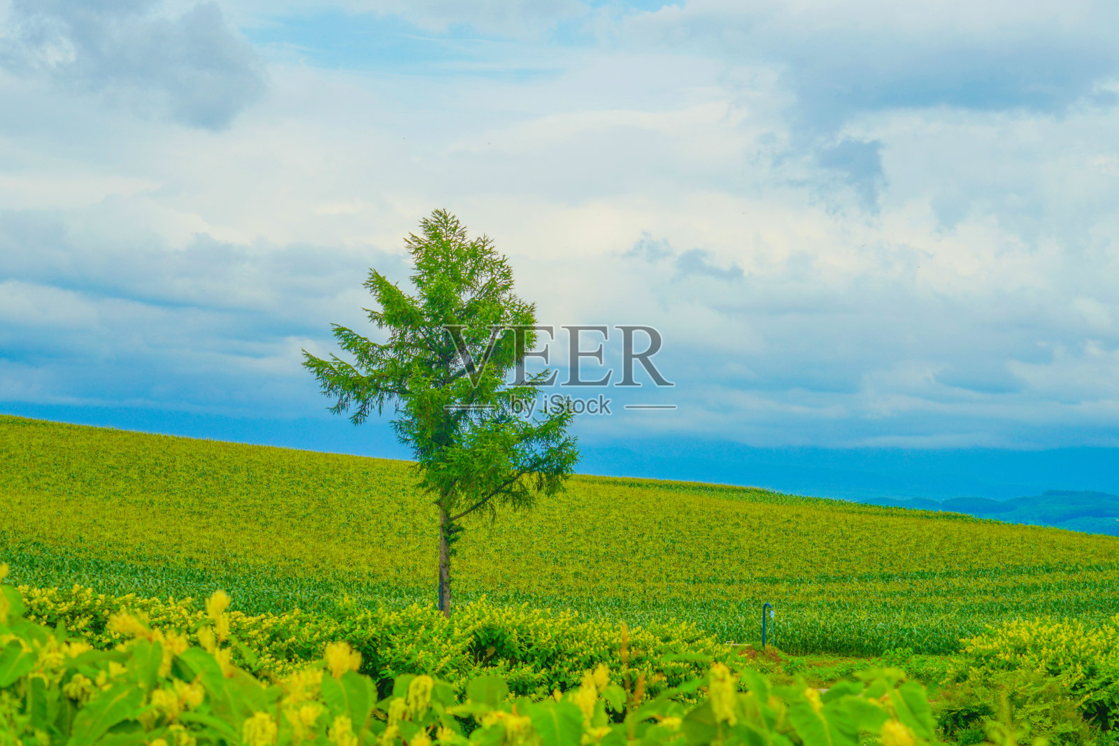 富拉诺斯平原和多云的天空照片摄影图片