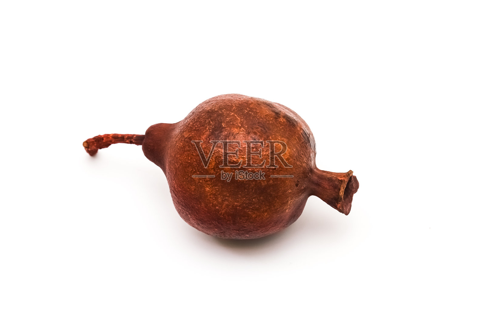 干红石榴在白色背景上作为纪念品。特写镜头照片摄影图片