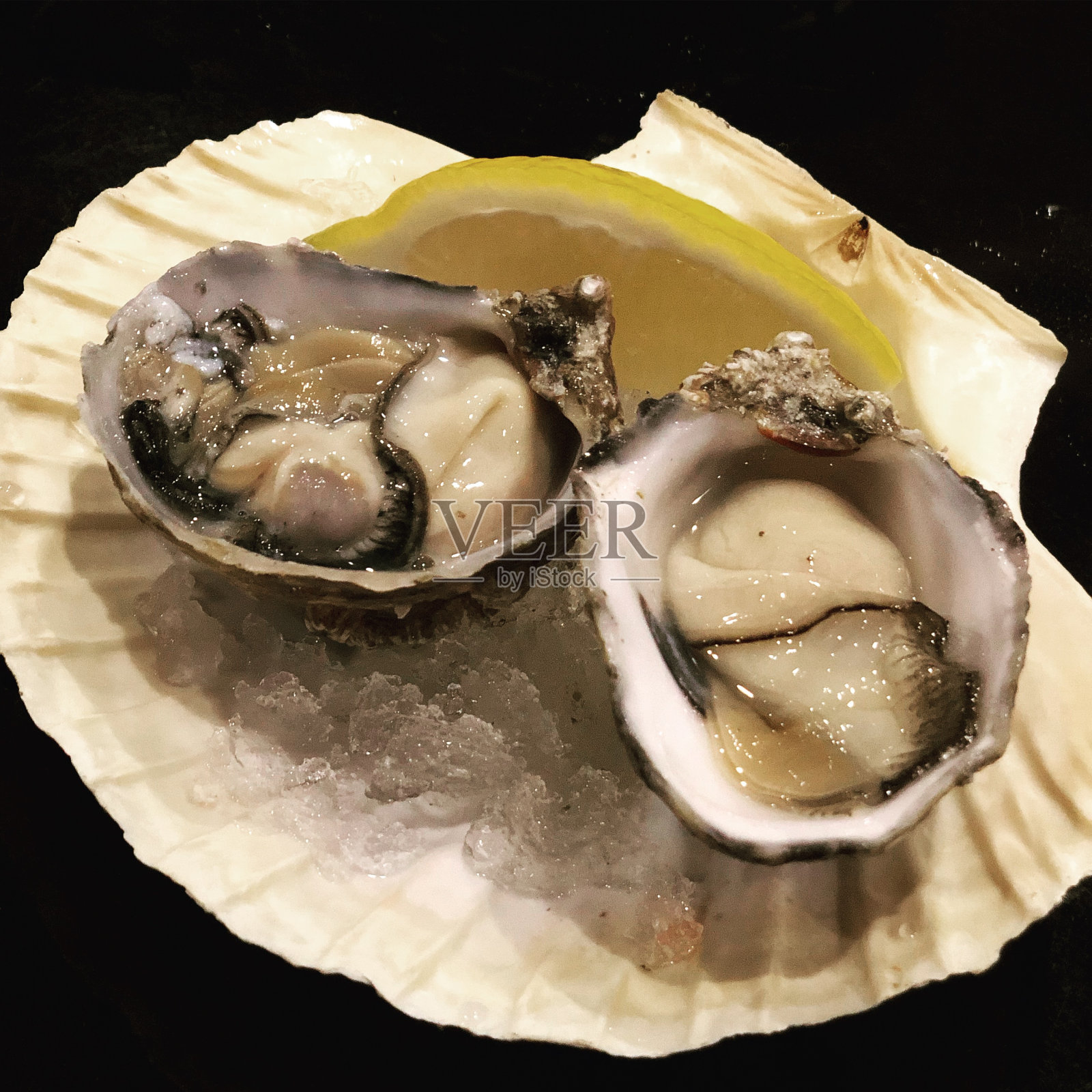 牡蛎37照片摄影图片