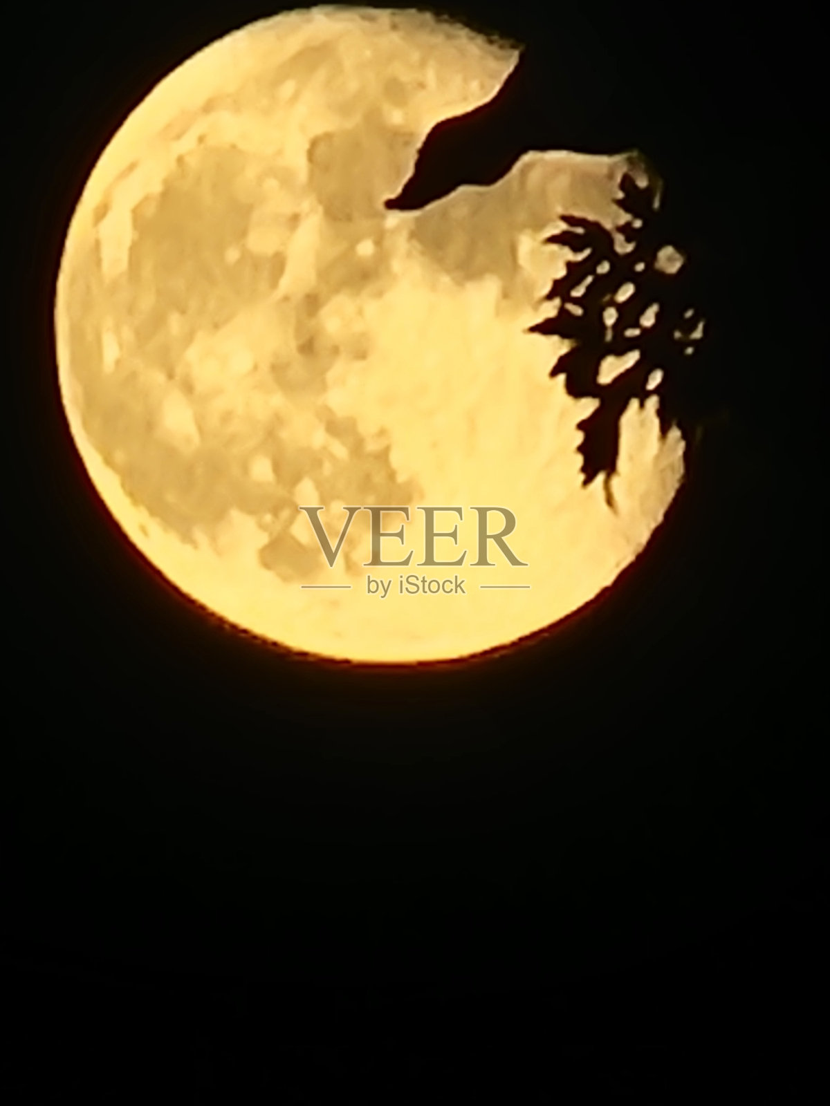 月球1照片摄影图片