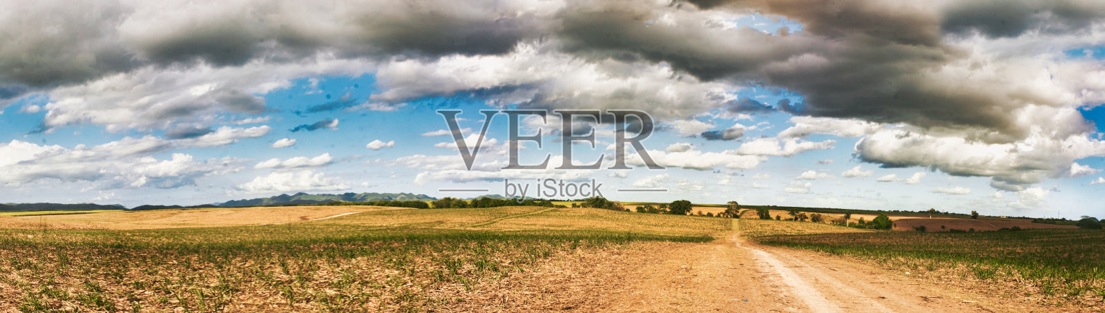 田野景观照片摄影图片