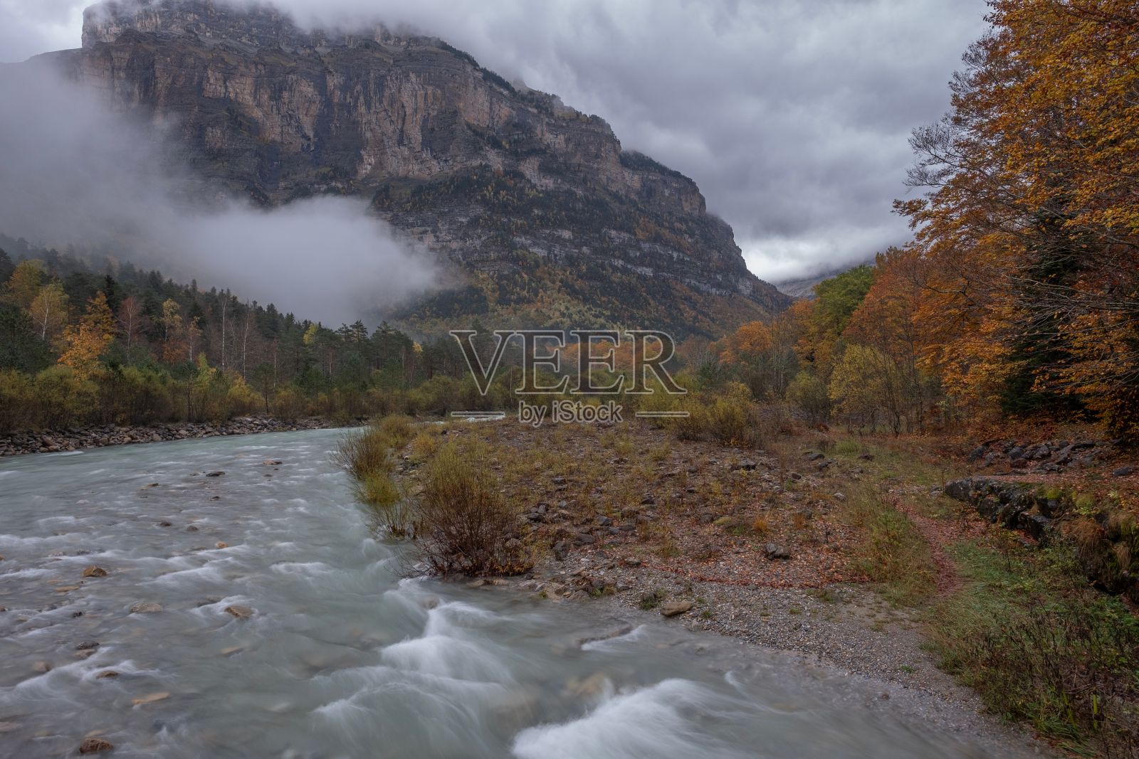 在西班牙韦斯卡的奥尔德萨山谷,在被雾覆盖的秋天森林中流淌的里约热内卢Arazas的风景照片摄影图片
