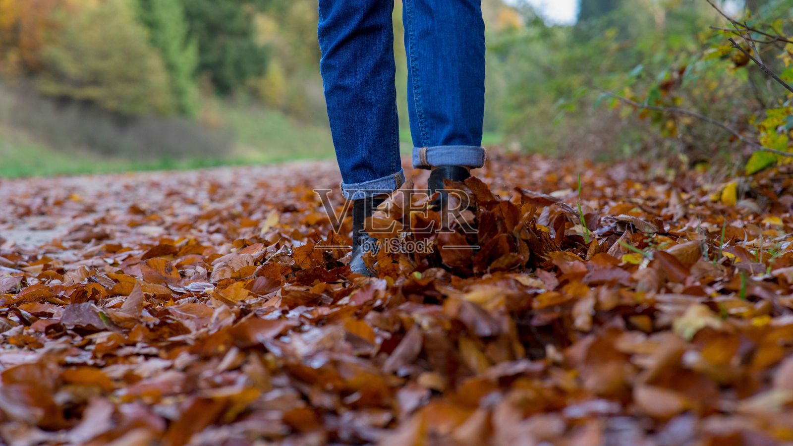 穿着牛仔裤的女人的腿踏过秋叶照片摄影图片