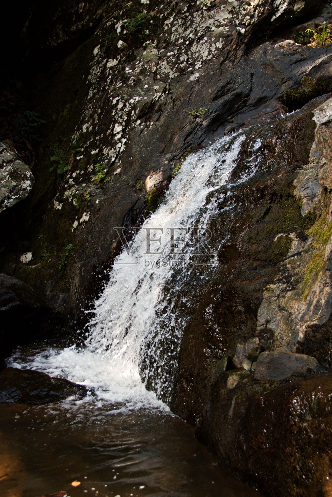 在阳光明媚的日子里,美丽瀑布的垂直风景照片摄影图片