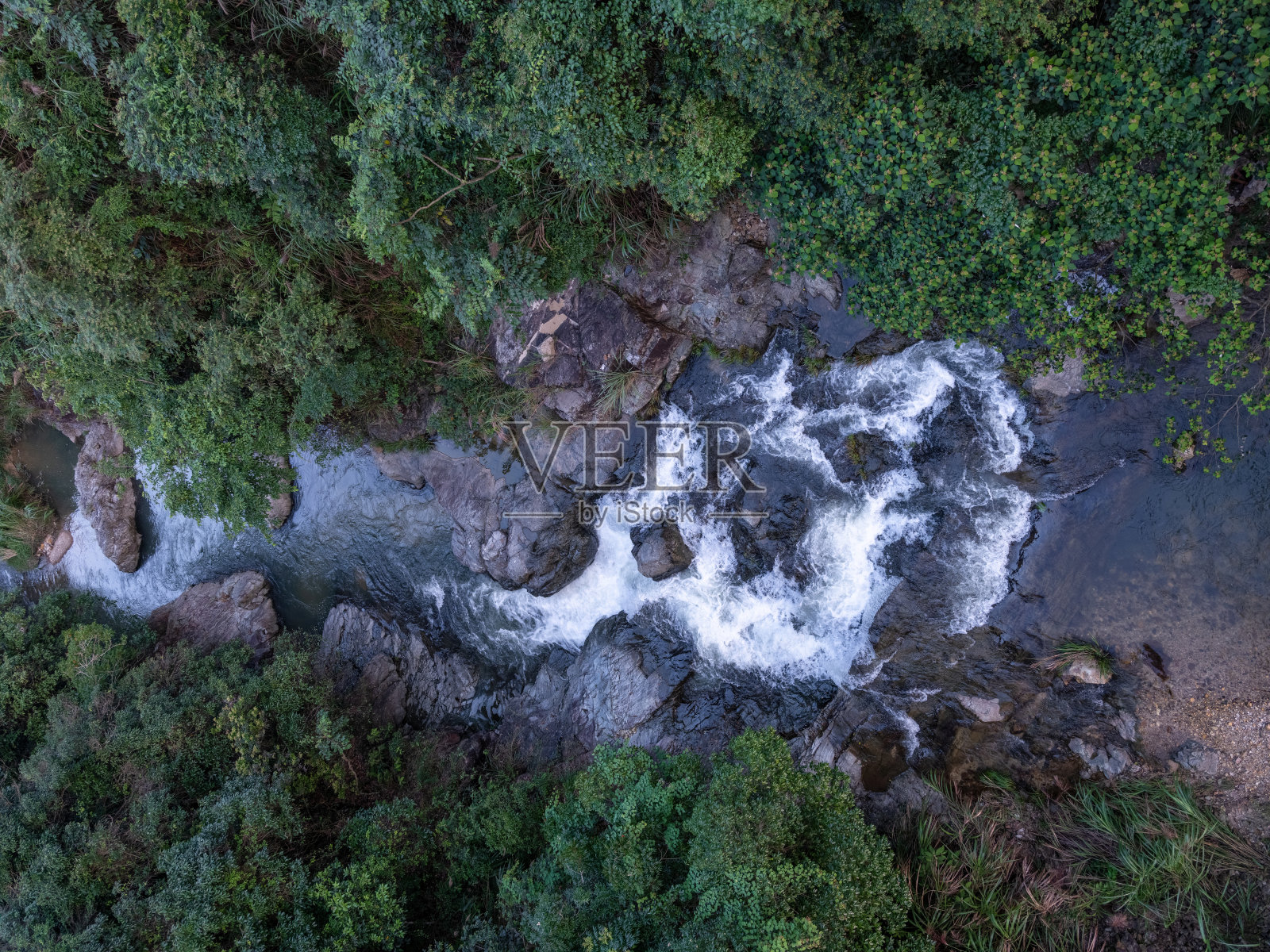 山涧中的岩石、水和树木照片摄影图片