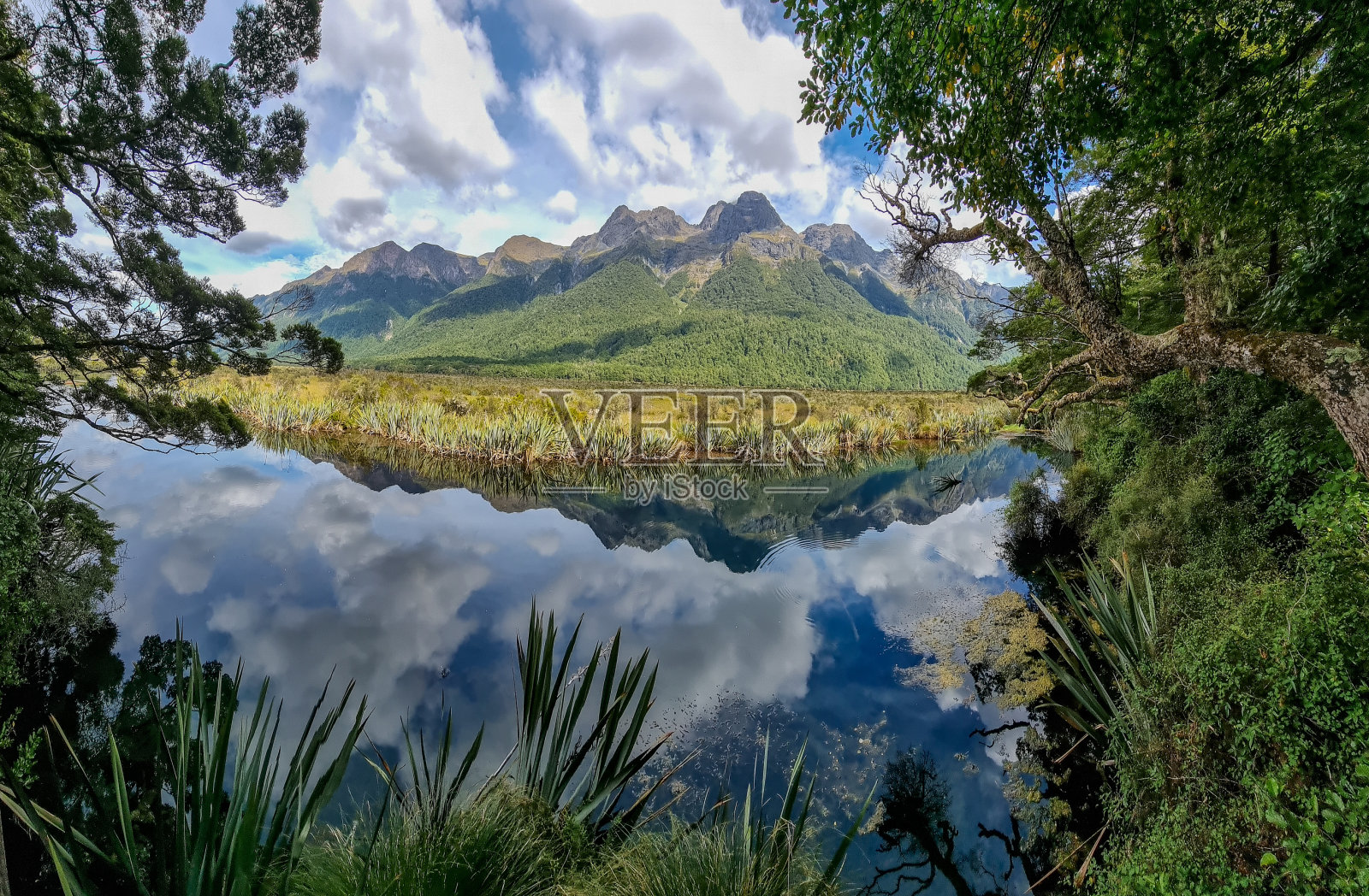 新西兰南岛的镜子湖照片摄影图片