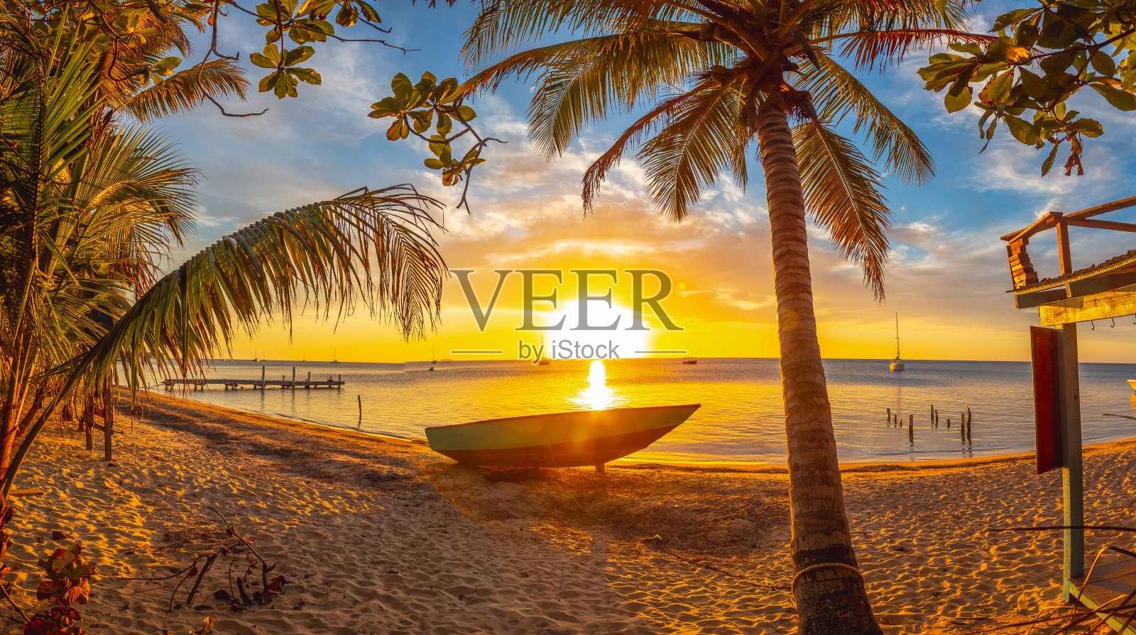 美丽的鱼眼图片棕榈树在迷人的橙色日落在罗阿坦。洪都拉斯照片摄影图片