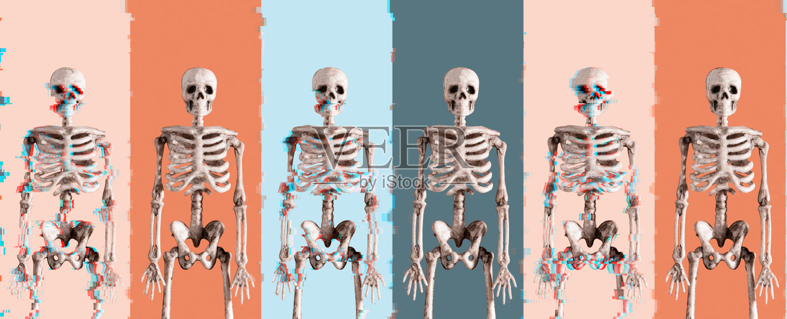 彩色背景下的人类骨骼。照片摄影图片