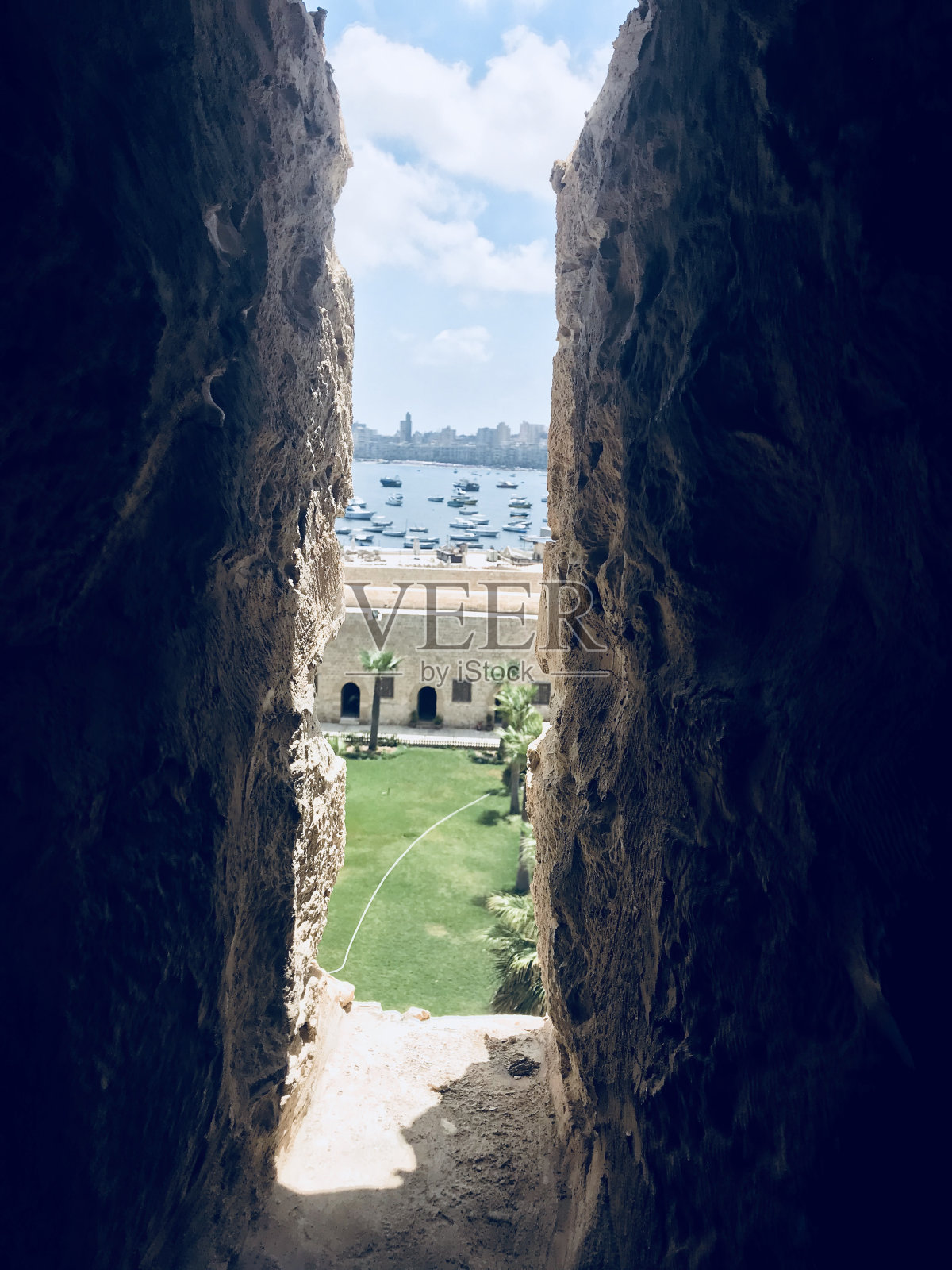 花园照片摄影图片