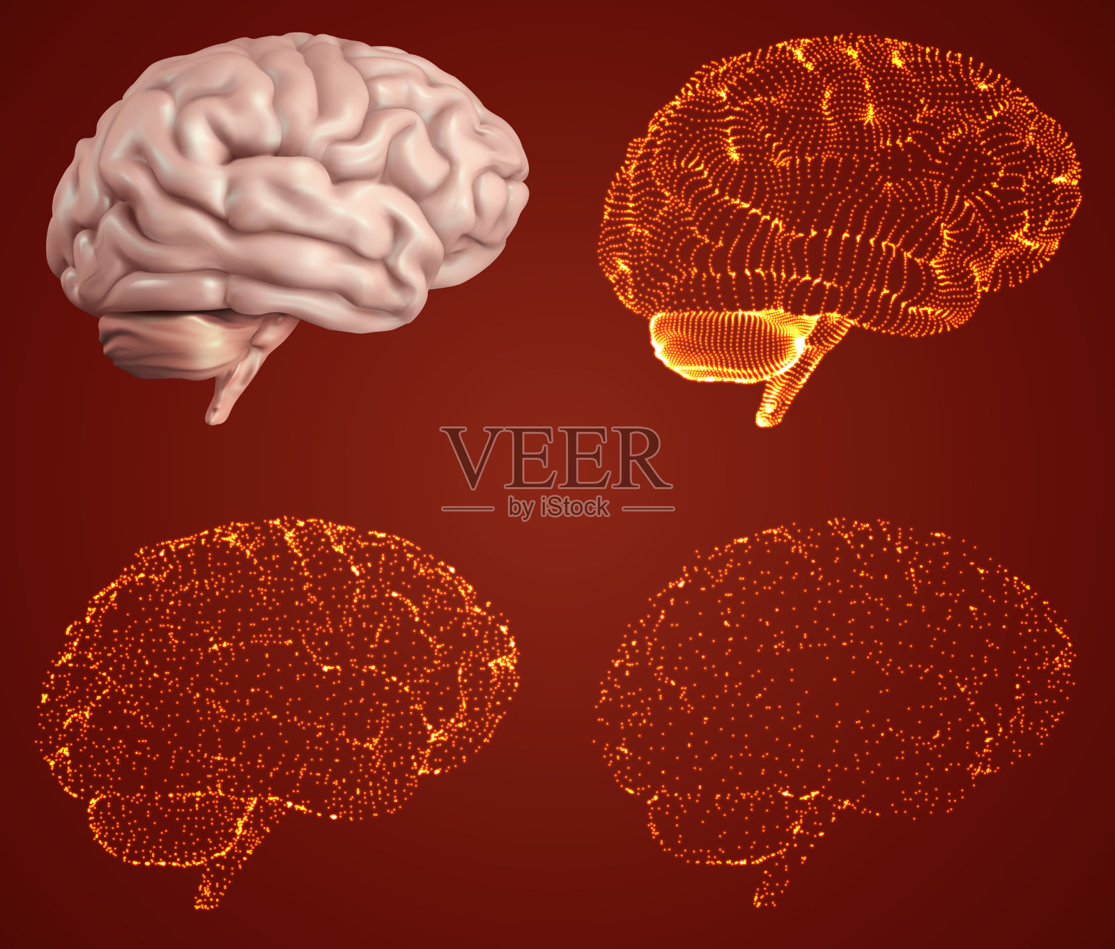 人类的大脑。不同风格的向量集。meshe设计元素图片