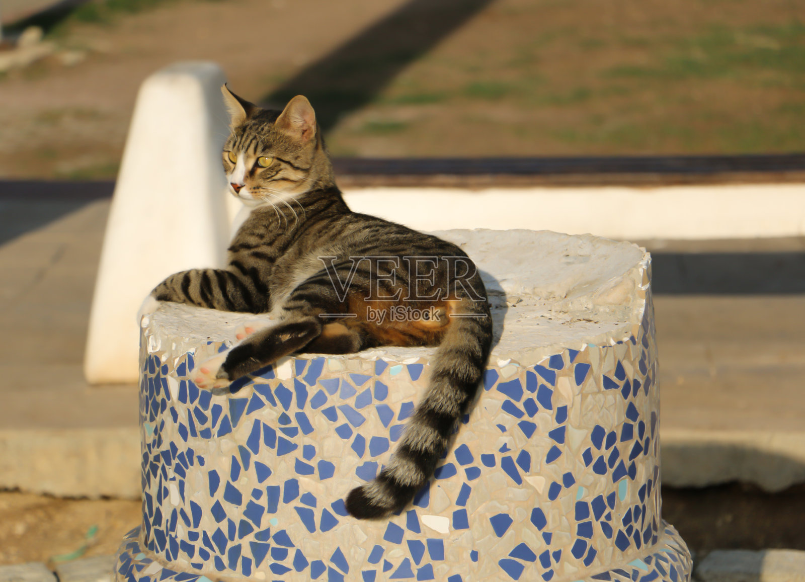 街头美女照片摄影图片