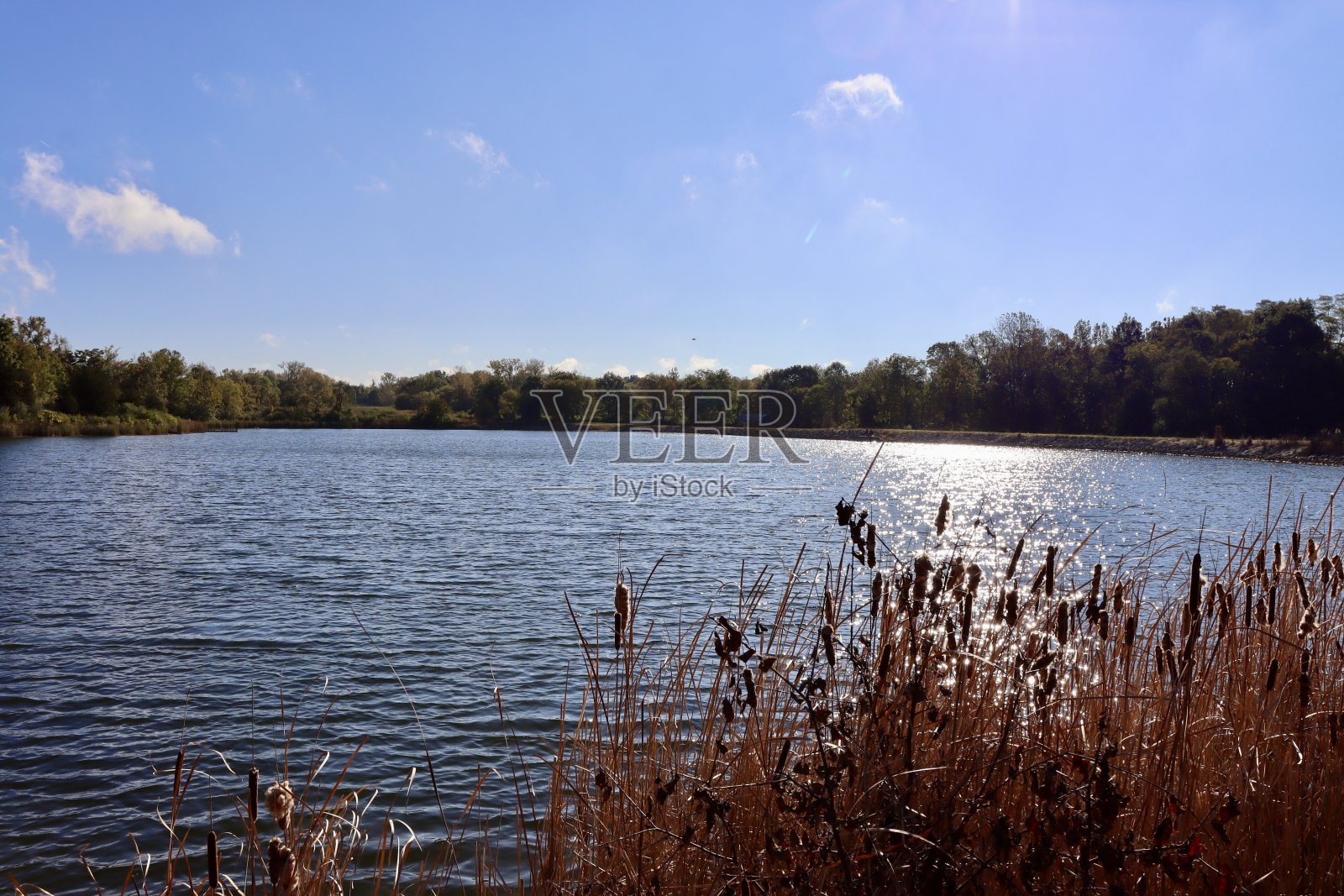 早上视图照片摄影图片