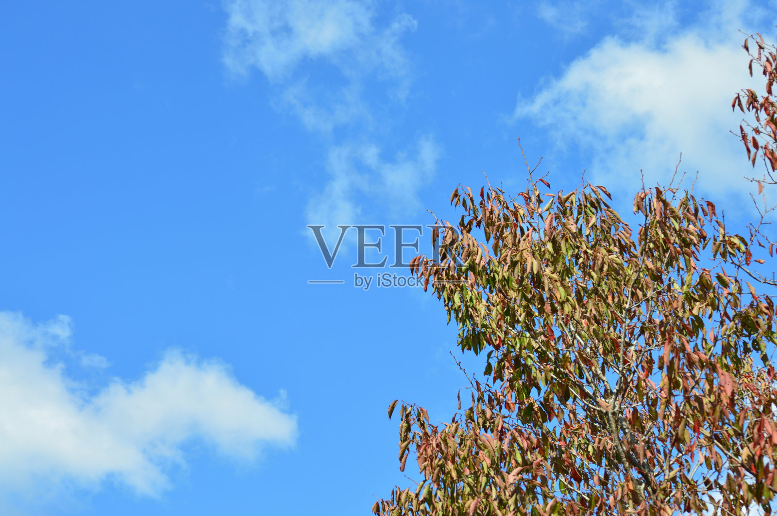 秋天的天空照片摄影图片