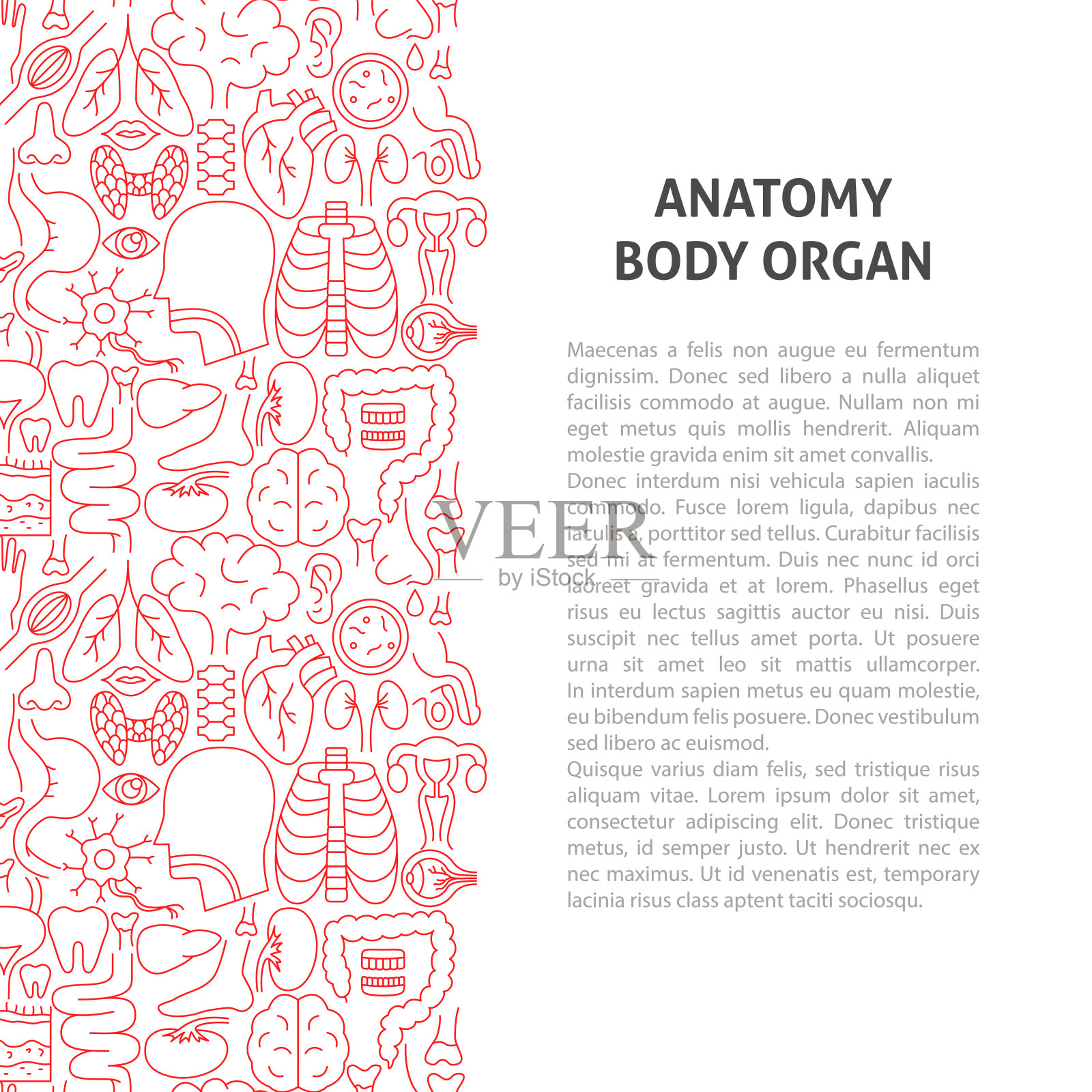 人体器官线条图案的概念插画图片素材
