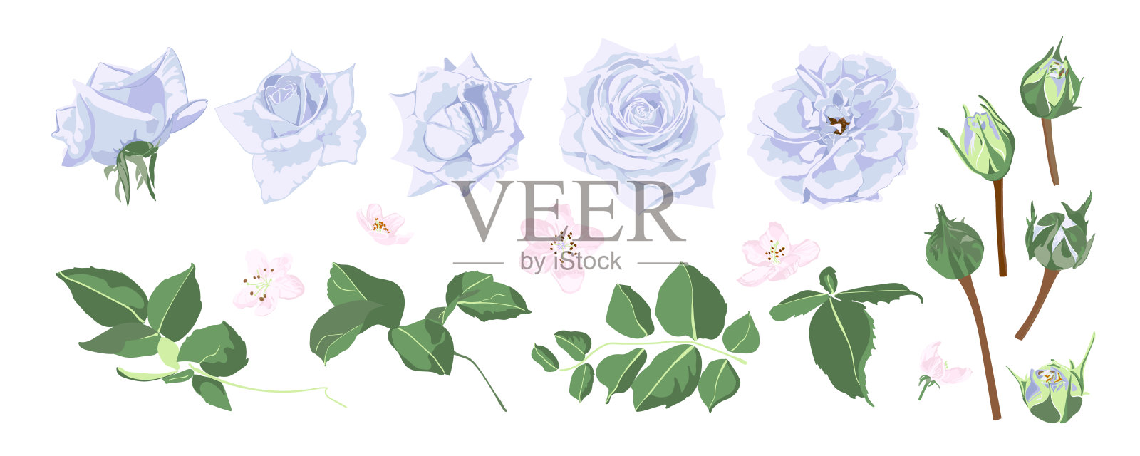 复古紫玫瑰和乡村婚礼花环。插画图片素材