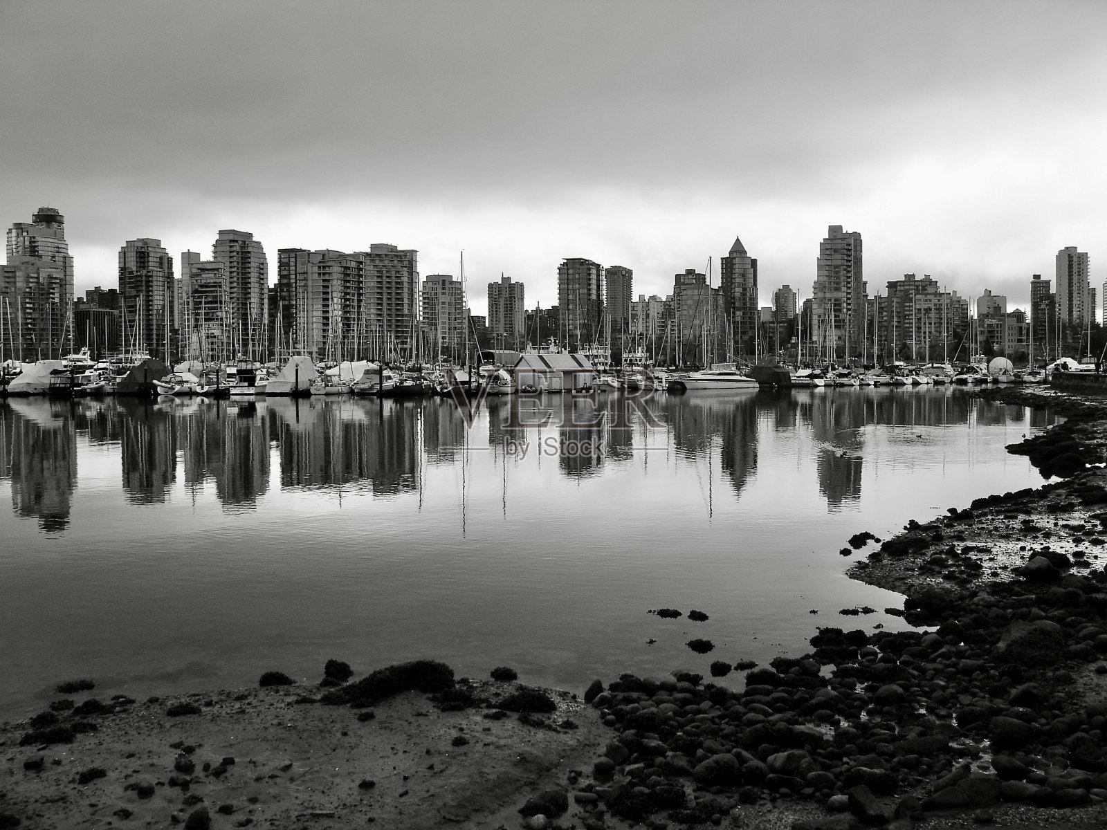 温哥华市区天际线I照片摄影图片