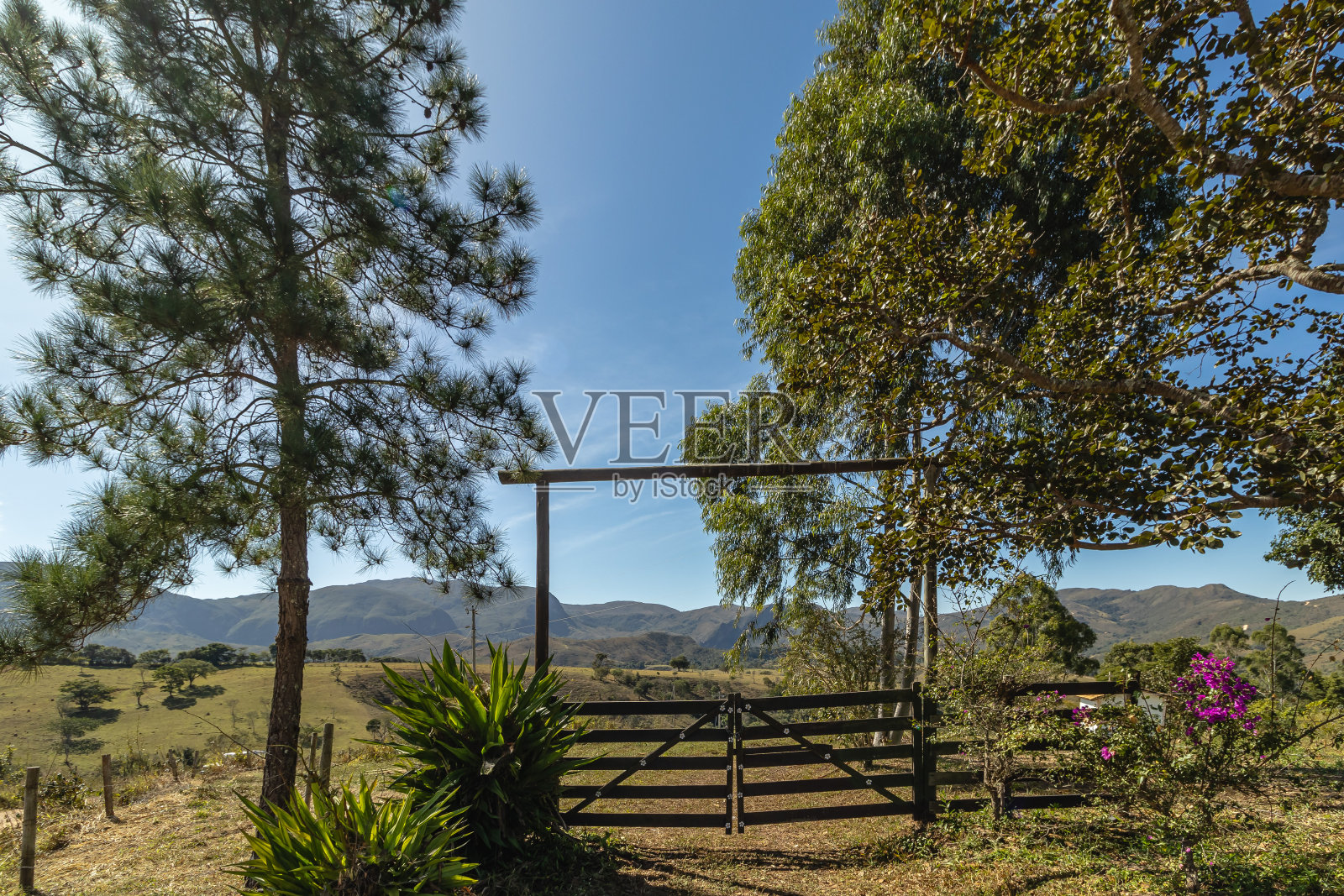 巴西米纳斯吉拉斯州Canastra的自然景观照片摄影图片