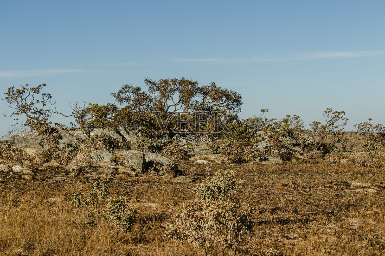 巴西米纳斯吉拉斯州Canastra的自然景观照片摄影图片