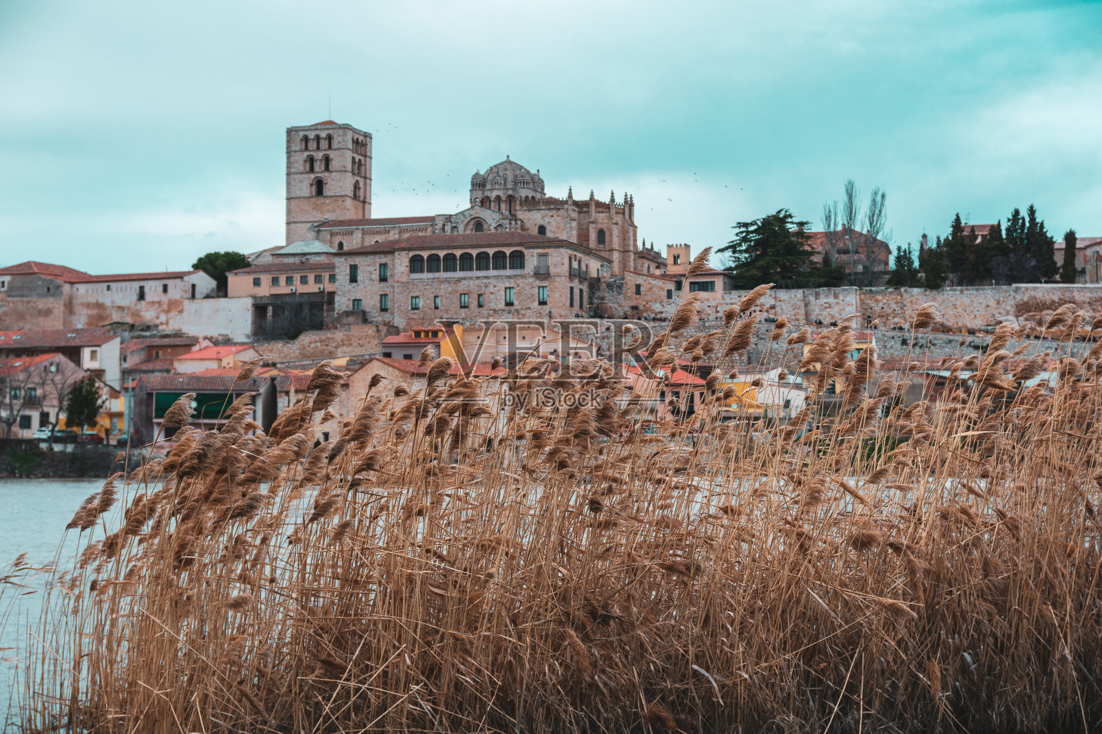 西班牙萨莫拉大教堂的选择性聚焦镜头照片摄影图片